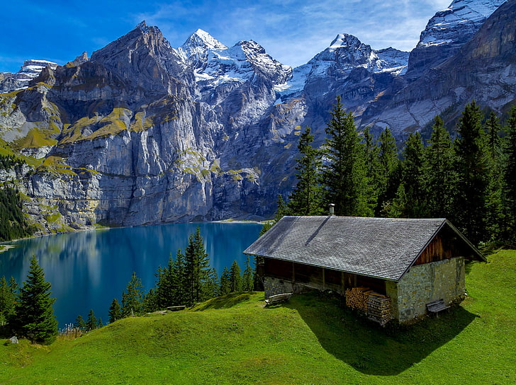 brown wooden house, forest, trees, mountains, lake, rocks, Switzerland