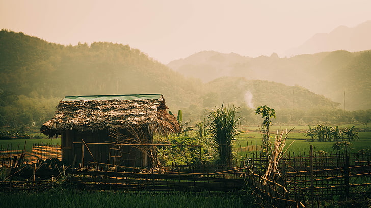 brown wooden house, hut, jungle, rice paddy, Vietnam, mountains