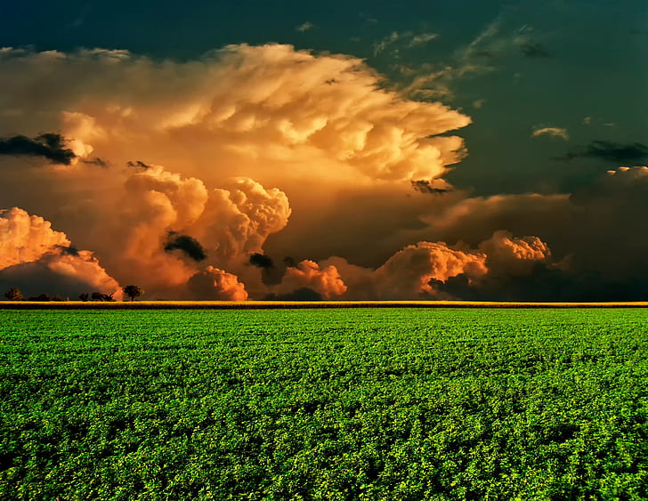 Nature field horizon, green grass field, sky, clouds, hd, Nature s, HD wallpaper