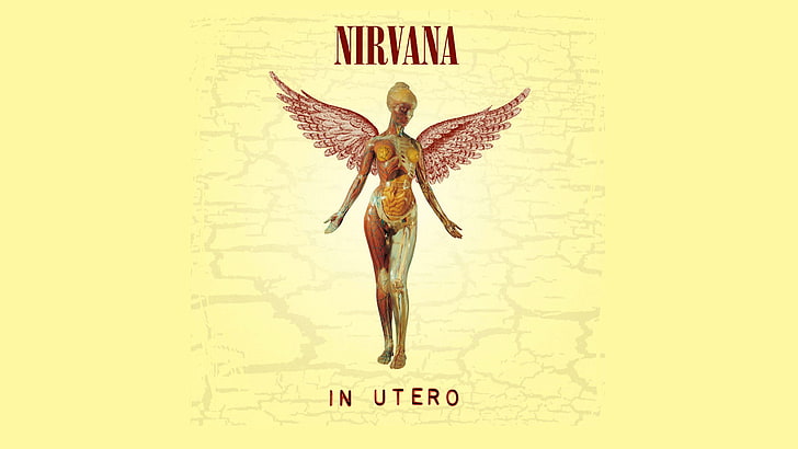 Band (Music), Nirvana, Album Cover, Anatomy, Angel, Woman