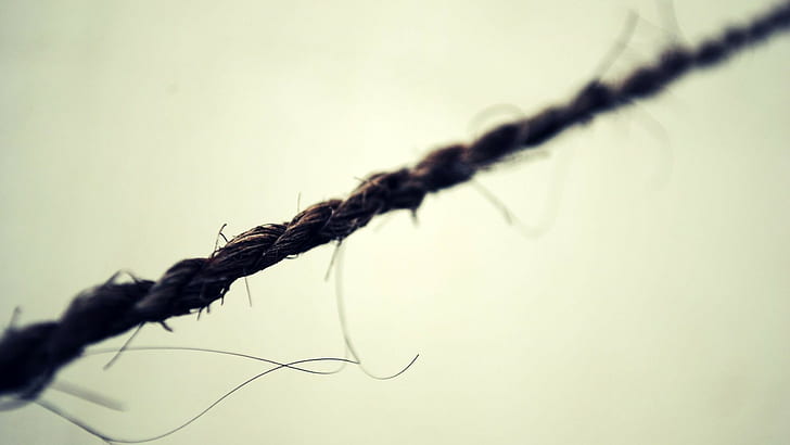 depth of field, ropes