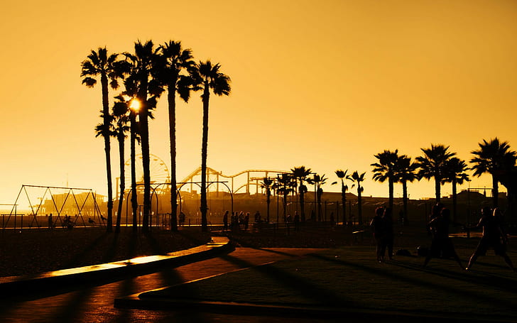 California, people, palm trees, sunlight, HD wallpaper