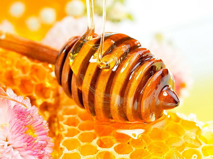 brown wooden honey dipper, sweet, pollination, food, yellow, bee, HD wallpaper