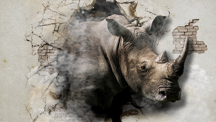 3d, rhinoceros, horn, wall, wildlife, destroy, illustration