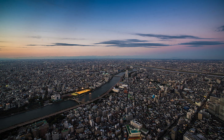 gray buildings, japan, tokyo, top view, panorama, cityscape, urban Scene