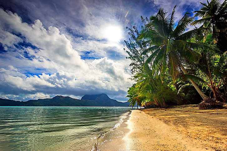 palm trees and beach, nature, landscape, sea, clouds, island