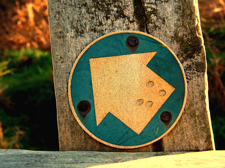 blue and brown wooden board, signs, arrows, tree trunk, focus on foreground