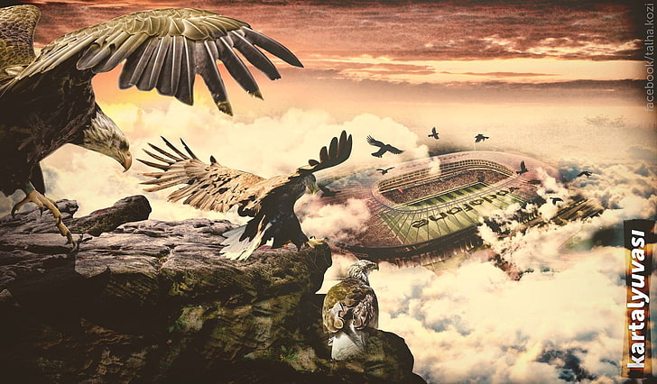 3D illustration of two eagles, Vodafone Arena, Besiktas J.K., HD wallpaper