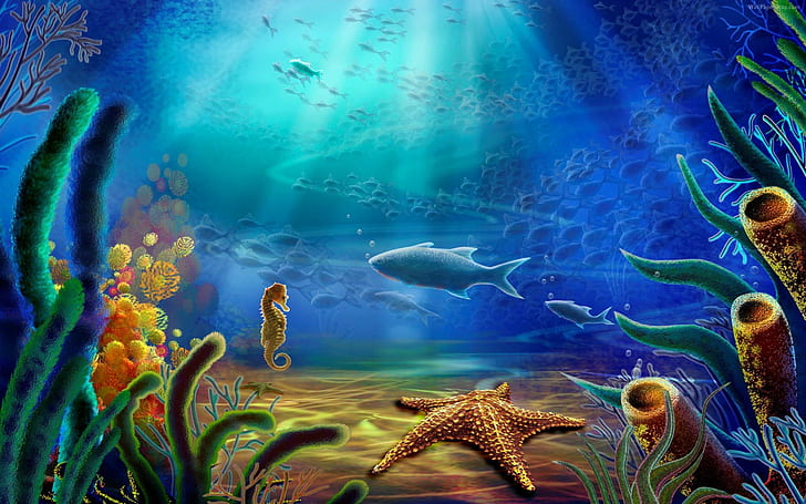 Life under the sea underwater world fish corals sea star sea horse Hd Wallpaper Widescreen For Smartphone 2880×1800