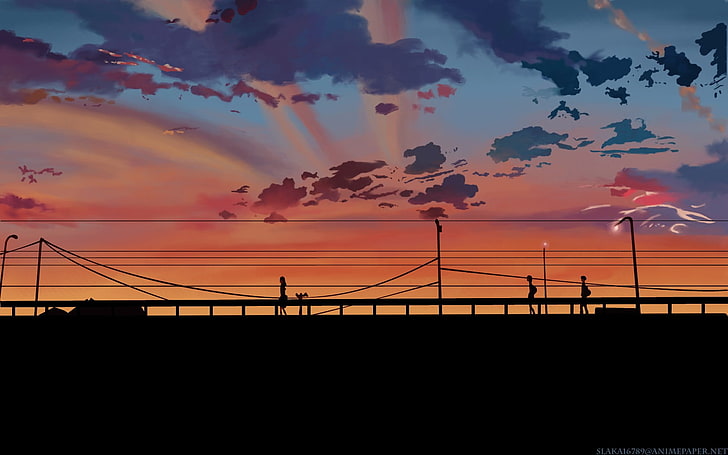 5 Centimeters Per Second, power lines, Makoto Shinkai, sunset, HD wallpaper