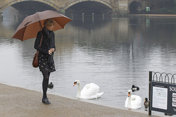 blondes women taylor swift london swans celebrity singers umbrellas Art Umbrella HD Art, HD wallpaper