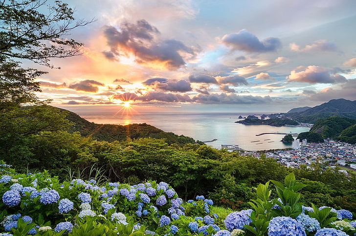 sunset, blue, sea, bay, hills, cityscape, green, flowers, clouds