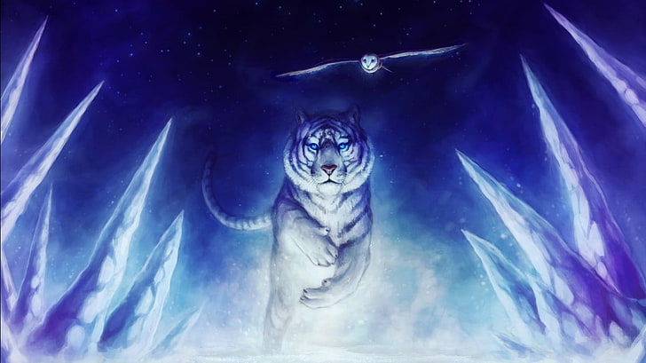 tiger and owl digital wallpaper, white tigers, animal, animal themes