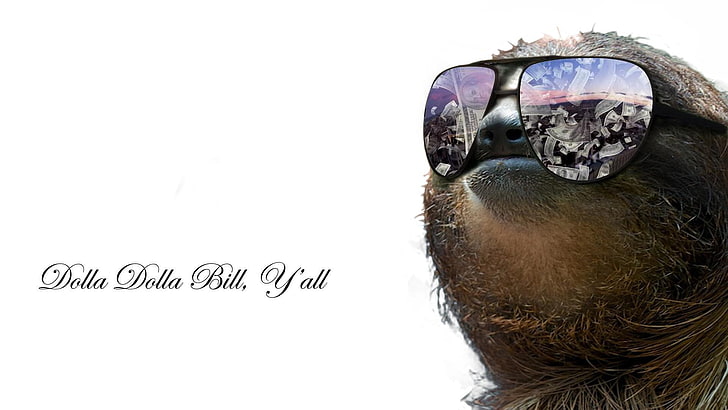 purple aviator sunglasses with frames and text overlay, sloths