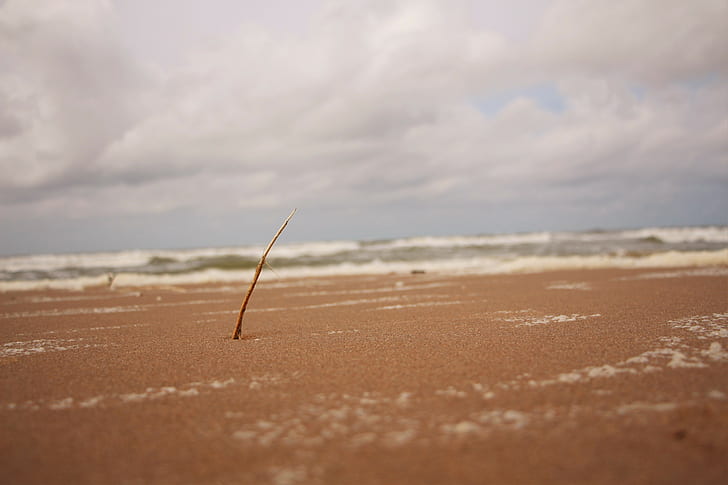 beach, Dutch, North Sea, land, sand, cloud - sky, day, nature, HD wallpaper