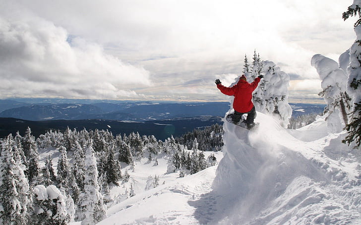 Snowboarding At Great Height, dude, trees, mountain, hill