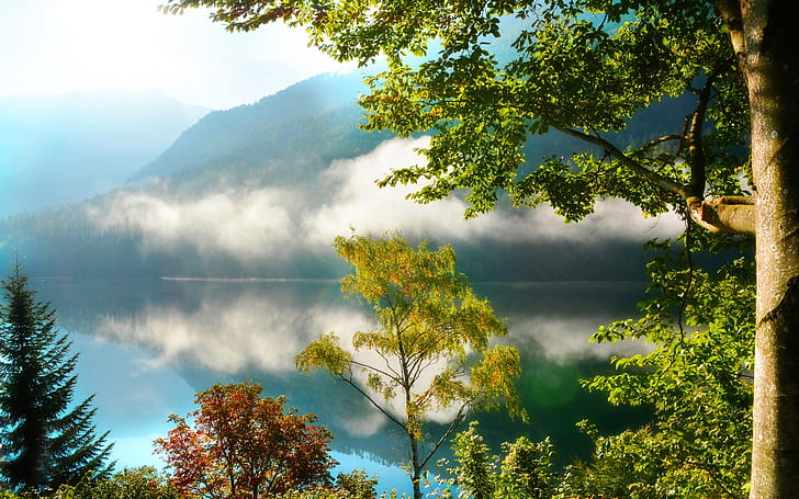 Nature scenery, mountains, forest, trees, lake, mist, morning, reflection