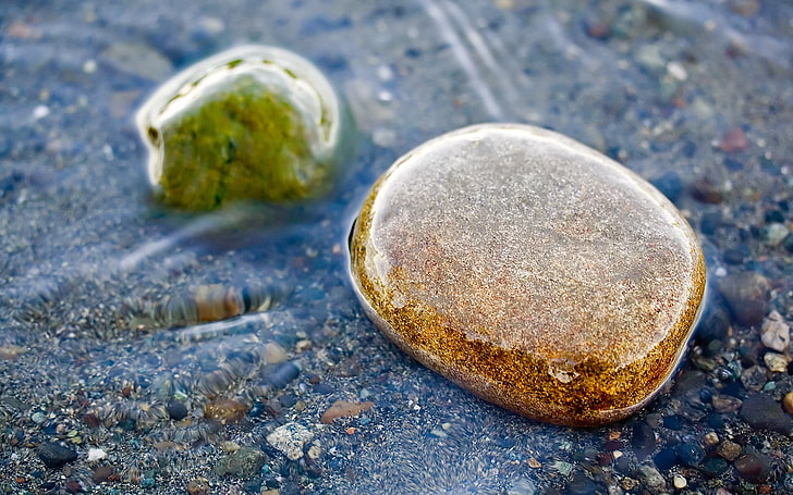 brown stone, water, nature, macro, stones, rock - Object, stone - Object