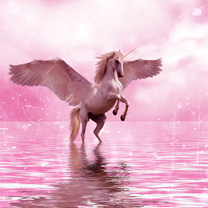 unicorn on body of water wallpaper, wings, horse, fantasy, animal, HD wallpaper