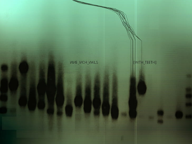 Nine Inch Nails, cover art, music, HD wallpaper