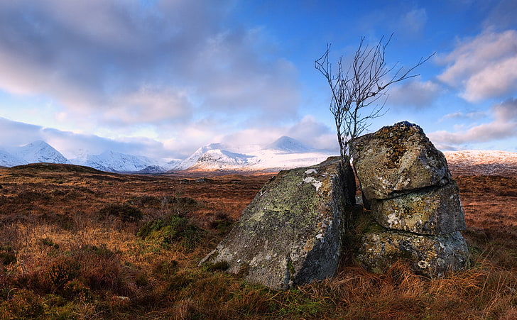 Rannoch Moor Land, Scotland, Nature, Landscape, Beautiful, West, HD wallpaper