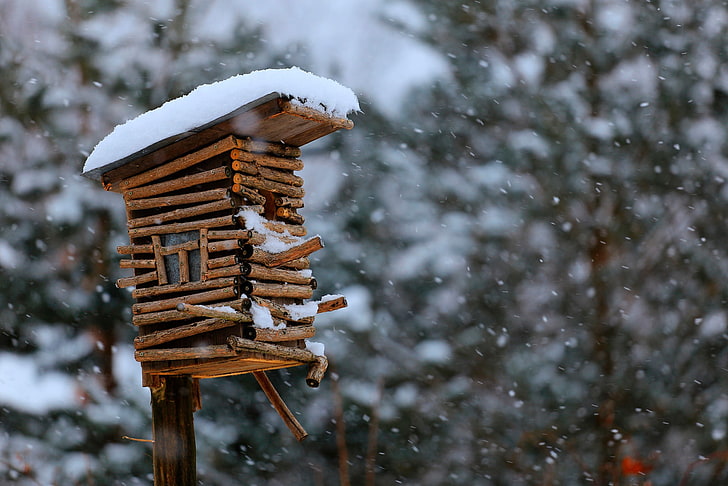 brown birdhouse, snow, winter, nature, outdoors, wood - Material, HD wallpaper