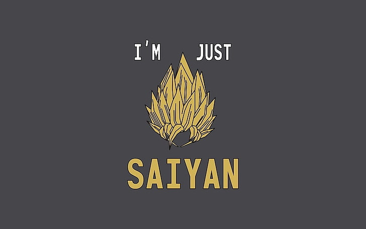Saiyan text on gray background, Dragon Ball Z, humor, typography, HD wallpaper