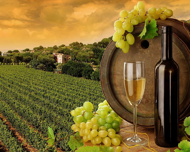 landscape, wine, food and drink, healthy eating, grape, alcohol, HD wallpaper