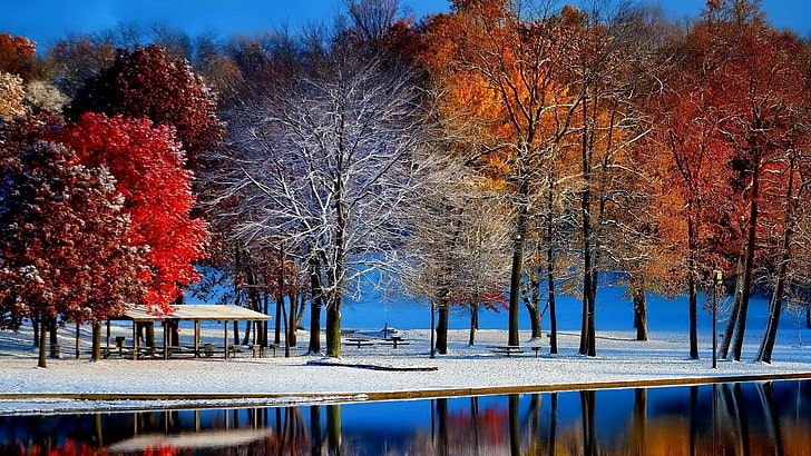 winter, reflection, nature, snow, water, tree, leaf, sky, woody plant, HD wallpaper