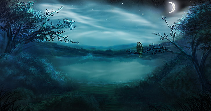 trees in front of body of water wallpaper, forest, stars, night