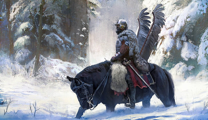 man riding black horse illustration, Polish hussar, military, HD wallpaper