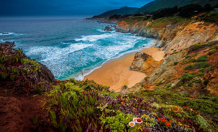 beach, flowers, the ocean, rocks, coast, Pacific Ocean, California, HD wallpaper