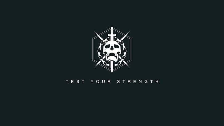 Test Your Strength skull wallpaper, Destiny (video game), copy space