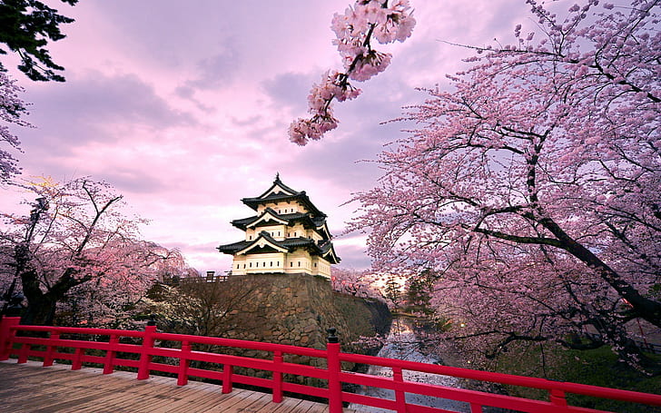 building, trees, purple, nature, cherry blossom, Hirosaki Castle, HD wallpaper