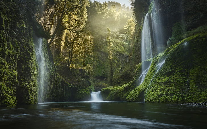 USA, waterfall, pine trees, moss, mist, forest, river, nature, HD wallpaper