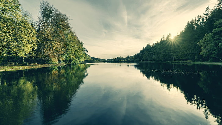 green trees, river, forest, reflection, water, tranquility, lake, HD wallpaper
