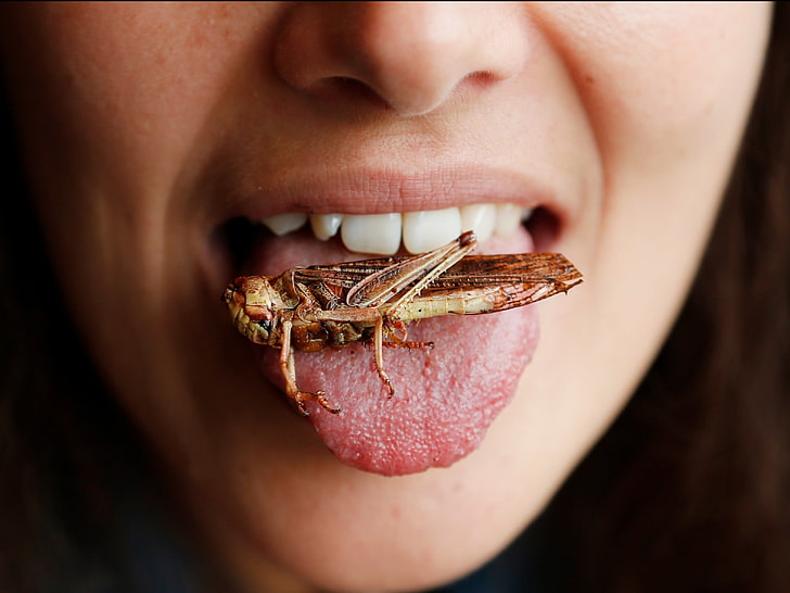 women, tongues, insect, grasshopper, human body part, one person