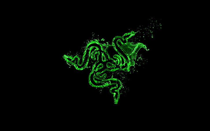 HD wallpaper: green and black dragon illustration, Razer, studio shot,  black background | Wallpaper Flare