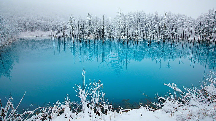 lake, winter, snow, ice, landscape, nature, water, tranquility, HD wallpaper