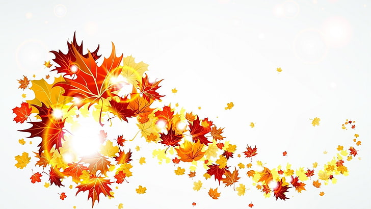 fall late backgrounds desktop, white background, autumn, plant, HD wallpaper