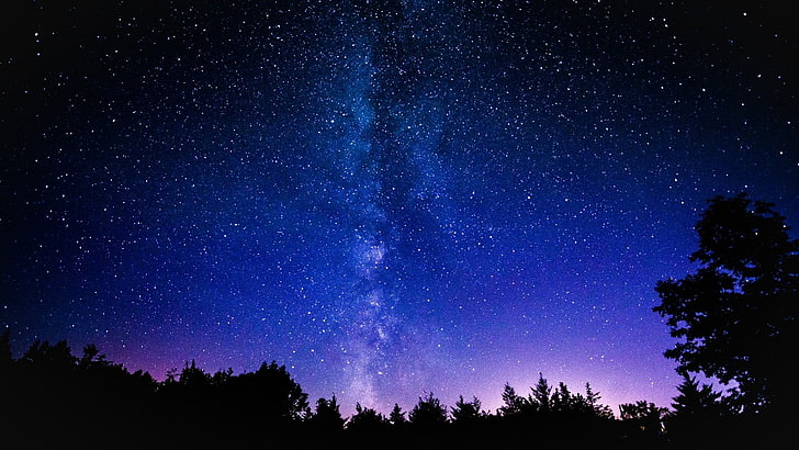 silhouette of trees under clear sky at nighttime, space, stars, HD wallpaper