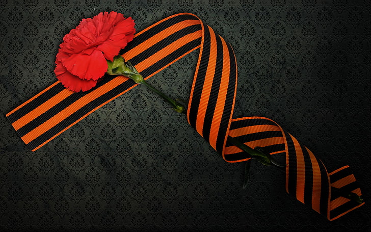 red rose, May 9, victory day, St. George ribbon, carnation, illustration, HD wallpaper