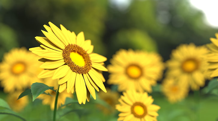 Sunflowers 3D, Artistic, Yellow, Design, Field, Agriculture, three-dimensional, HD wallpaper