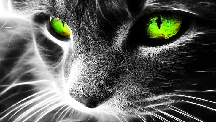 cat, Fractalius, green eyes, domestic, pets, mammal, domestic cat, HD wallpaper