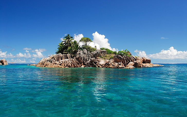 tree covered islet, seychelles, tropical, island, sea, nature