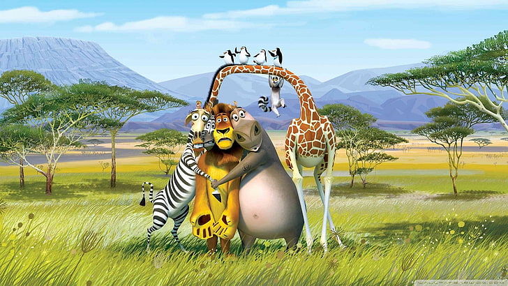 movies animals wildlife madagascar escape lions africa 1920x1080  Entertainment Movies HD Art, HD wallpaper