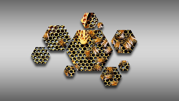 hexagon, bees, beecube, beehive, honeycombs, HD wallpaper