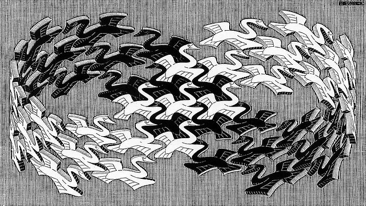 Artwork, M. C. Escher, Monochrome, Psychedelic, Animals, Bird, Flying, 3D, Mobius Strip, HD wallpaper