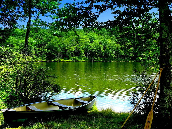nature, boat, river