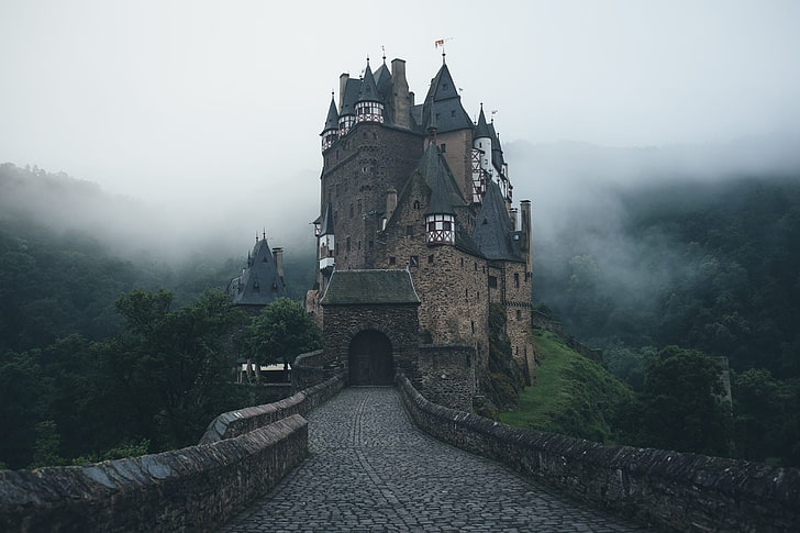 brown and black castle, Eltz Castle, trees, Germany, forest, bricks, HD wallpaper